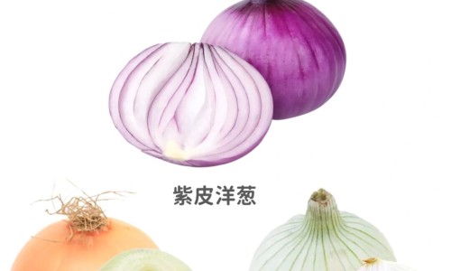 蜀葵的药用价值和功效-蜀葵作用与功效网 - 为你提供蜀葵的药用价值和功效、蜀葵作用与功效禁忌