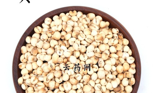 蜀葵作用与功效网 - 为你提供蜀葵的药用价值和功效、蜀葵作用与功效禁忌